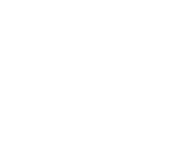 logotip generali
